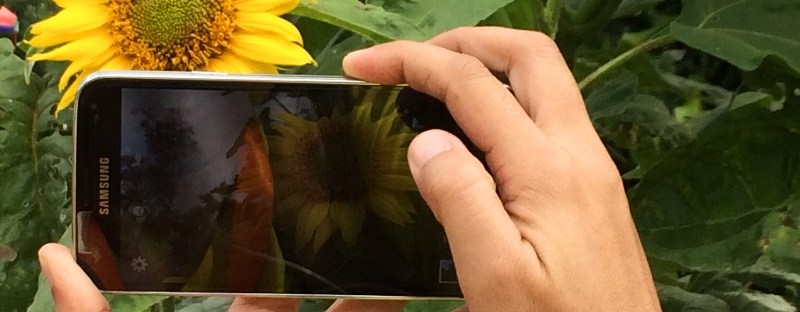 Tips Membuat Video Instant Saat Famtrip