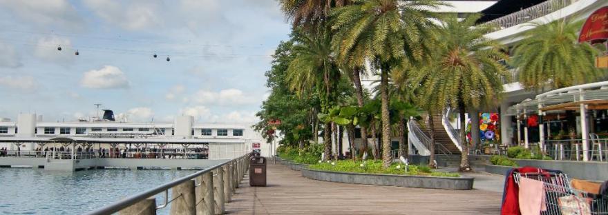 belanja online di singapura