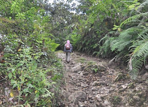 Kenyamanan tas sangat penting untuk aktivitas traveling mu.