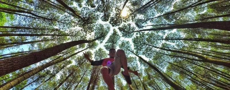 sumber : https://eksotisjogja.com