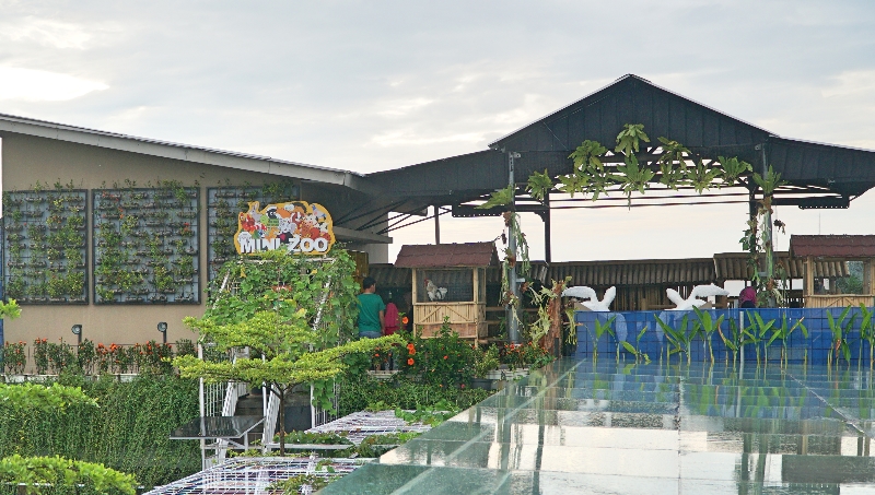 Mini Zoo di rooftop North Tower Grand Tjokro Premiere Hotel Bandung.