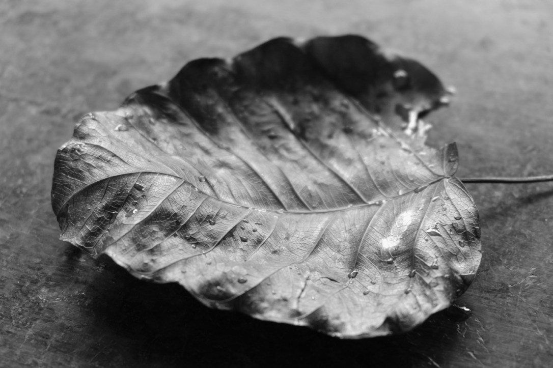 Theme 2 – Simplicity - STUDENT CATEGORY - 3RD Teo Xu Kai, TEMASEK POLYTECHNIC