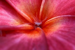 Theme 2 – Simplicity - OPEN CATEGORY - 2ND Azril Azam Bin Abdul Rahim